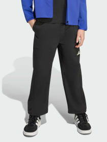 Повседневные штаны Adidas модель JM1682 Фото