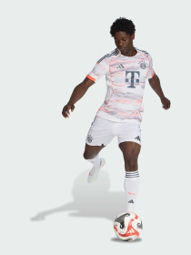 Шорты спортивные Adidas модель KC5720 Фото