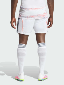 Шорты спортивные Adidas модель KC5720 Фото