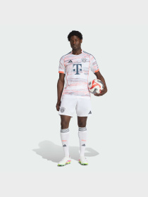 Шорты спортивные Adidas модель KC5720 Фото