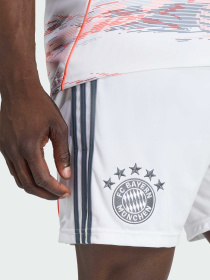 Шорты спортивные Adidas модель KC5720 Фото