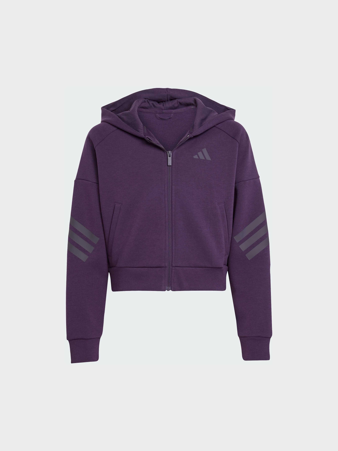 Кофта Adidas 3 Stripes модель JW7522 Фото