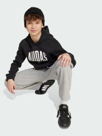 Худи Adidas модель JM1536 Фото