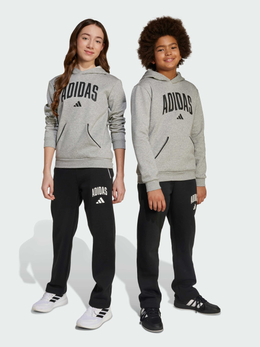 Брюки повседневные Adidas модель JM1538 Фото