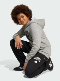 Повсякденні штани Adidas модель JM1538 Фото