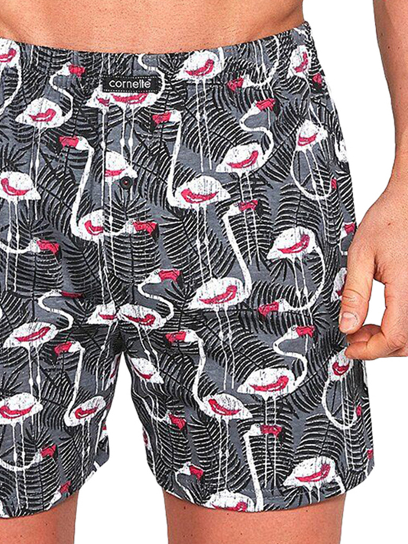 Трусы Cornette модель 011-109Classic Трусы Cornette модель 011-109Classic Фото