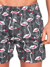 Трусы Cornette модель 011-109Classic Трусы Cornette модель 011-109Classic Фото