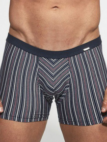 Трусы Cornette модель 912-74Infinity Трусы Cornette модель 912-74Infinity Фото