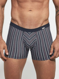 Трусы Cornette модель 912-74Infinity Трусы Cornette модель 912-74Infinity Фото