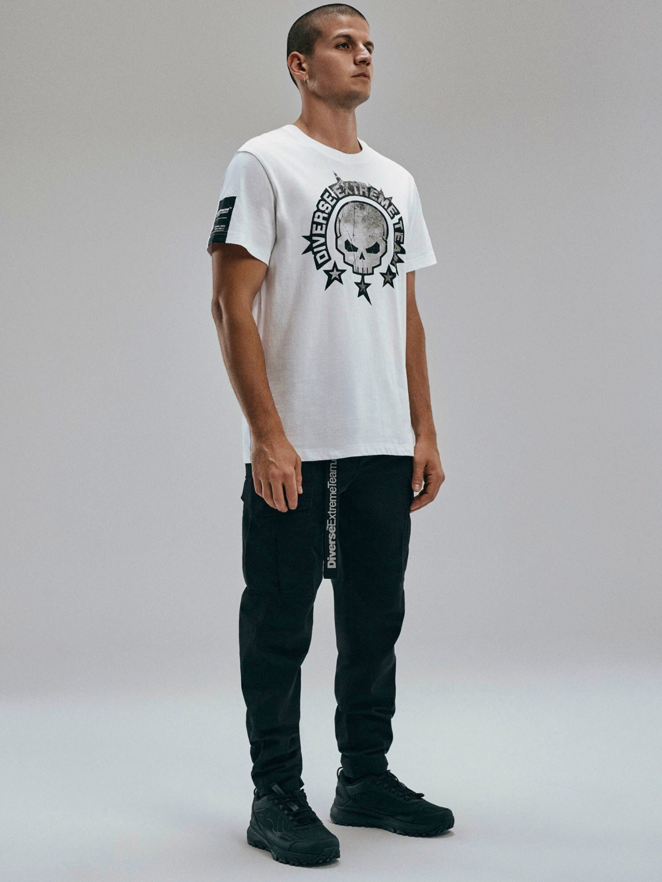 Карго DIVERSE Dext Cargo 255 модель 10047726 Фото