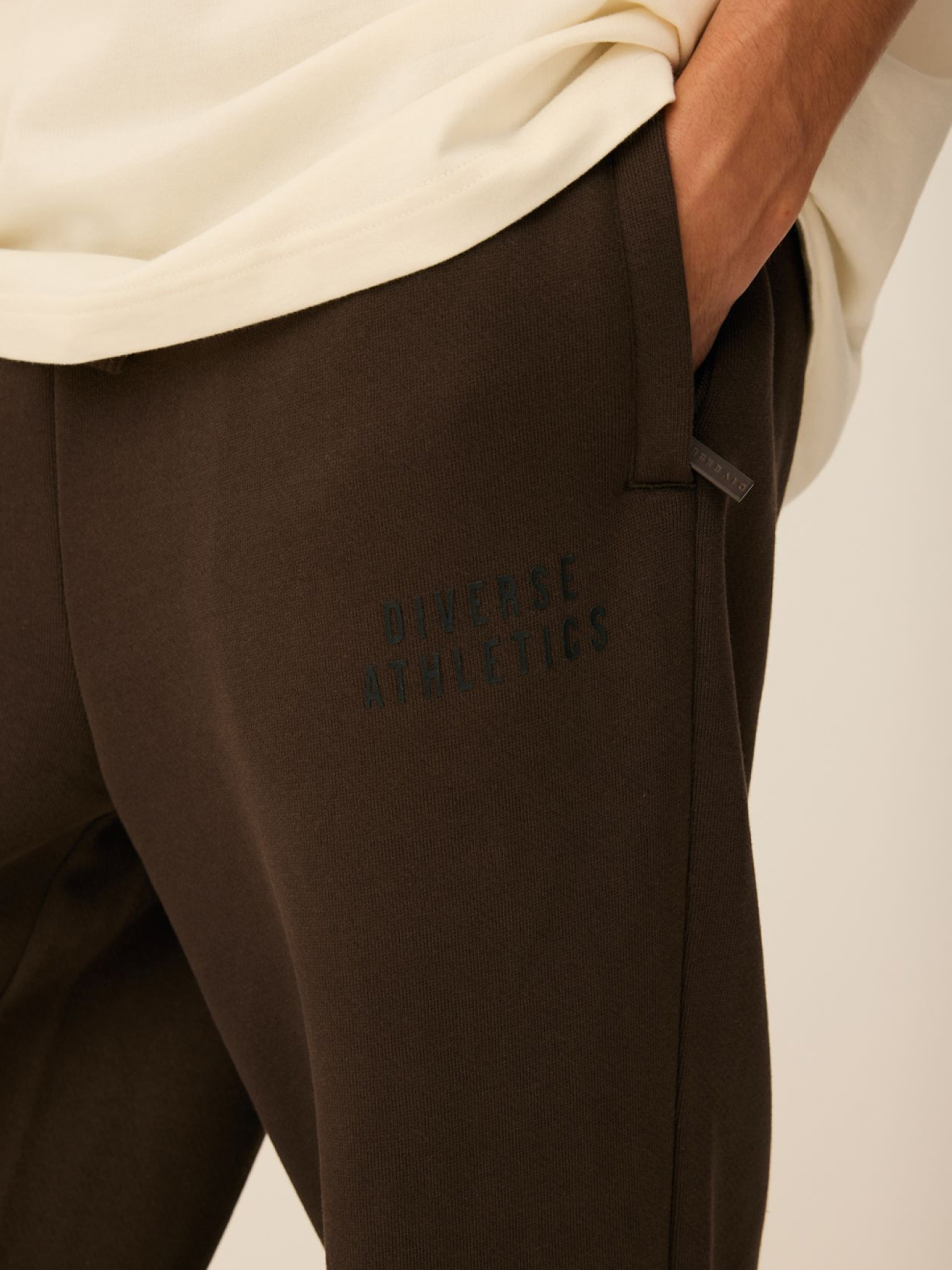 Штани спортивні DIVERSE Ath Sp2 255 модель 10047776 Фото