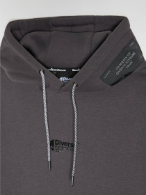 Худі DIVERSE Dext Core H4 модель 10047804 Фото