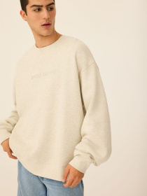 Свитшот DIVERSE Ath C 255 модель 10047814 Фото