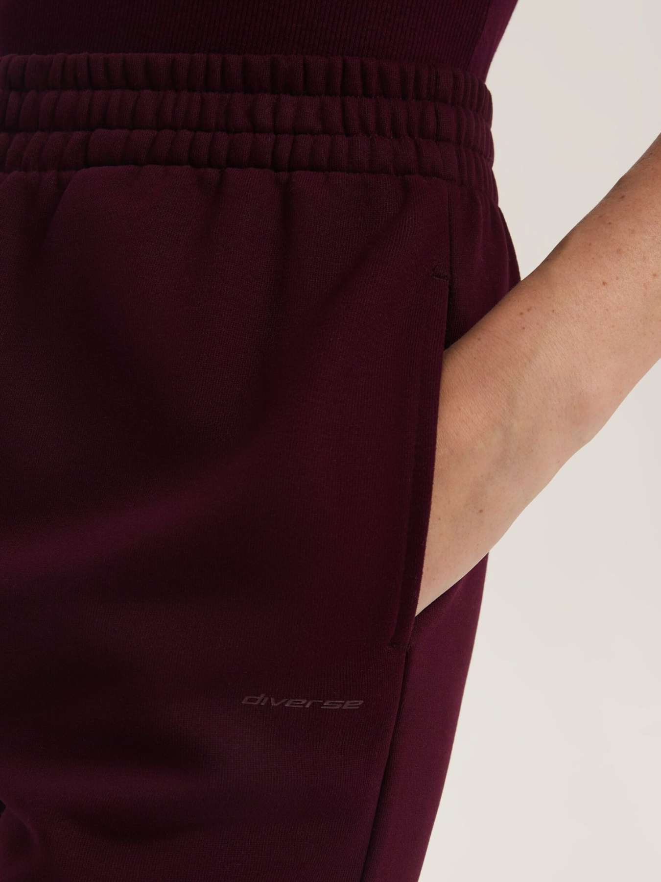 Штаны спортивные DIVERSE Bagter B модель 10047820 Штаны спортивные DIVERSE Bagter B модель 10047820 Фото