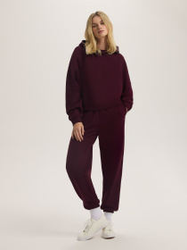 Штаны спортивные DIVERSE Bagter B модель 10047820 Штаны спортивные DIVERSE Bagter B модель 10047820 Фото