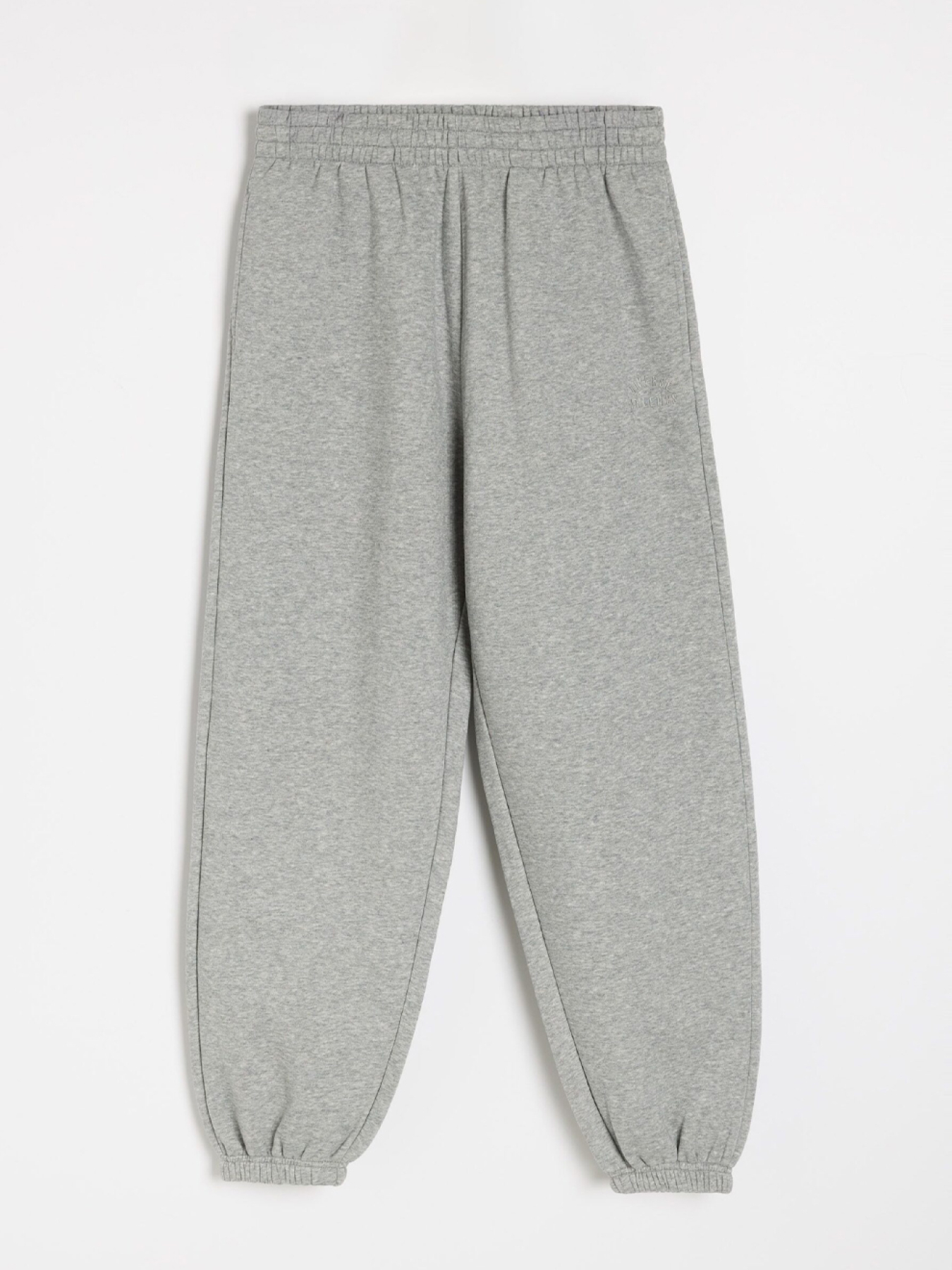 Штани спортивні DIVERSE Ath Bagter 255 модель 10047821 Фото