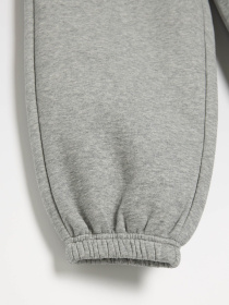 Спортивні штани DIVERSE Ath Bagter 255 модель 10047821 Фото