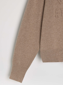 Светр DIVERSE Ath Klovert 255 модель 10047938 Фото