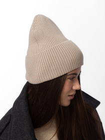 Шапка Famo модель SHP-M-20531_04 Фото