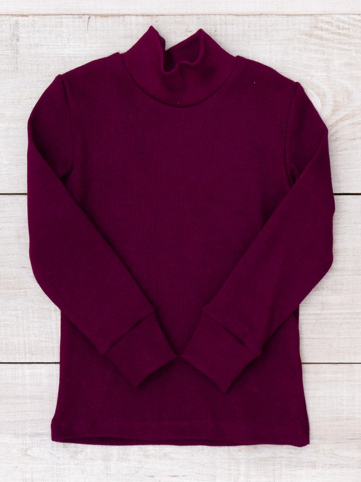 Водолазка Носи своє модель 6068-019-1-baklazhan Фото