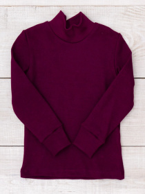 Водолазка Носи своє модель 6068-019-1-baklazhan Фото