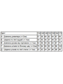 Спортивний костюм Носи своє модель 6397-025-33-chornij-only Фото