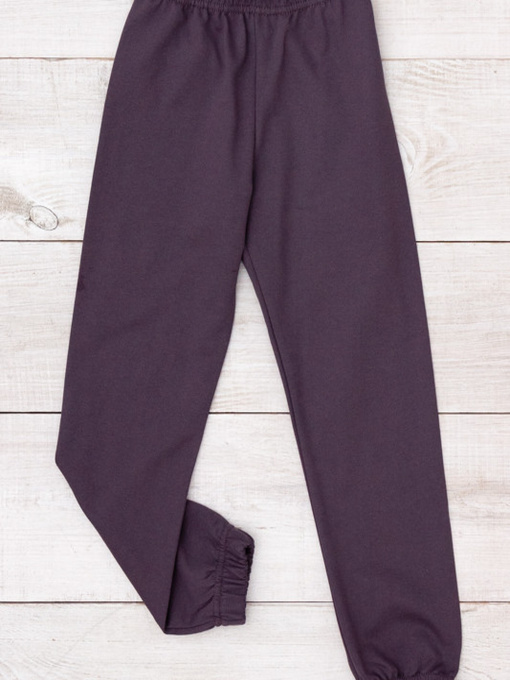 Штаны спортивные Носи своє модель 6155-023-5-nzhir Фото