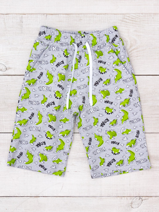 Повседневные шорты Носи своє модель 6208-055-dinozavri-na-sromu Фото