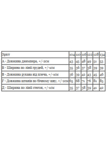 Повсякденний костюм Носи своє модель 6063-023-33-6-temno-smaragdovij-strong Фото