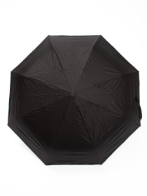 Парасолька Famo модель PK-A-3523_04 Фото