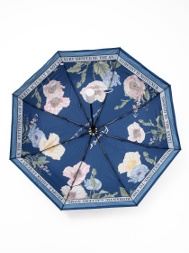 Парасолька Famo модель PK-A-3523_04 Фото