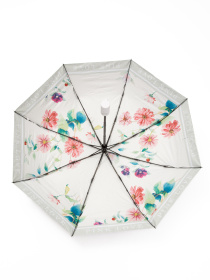 Парасолька Famo модель PK-A-3522_05 Фото