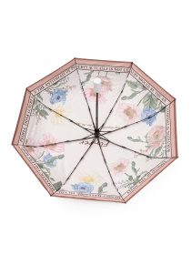 Парасолька Famo модель PK-A-3523_06 Фото