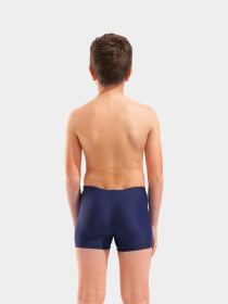 Плавки Arena модель 008147-708 Фото