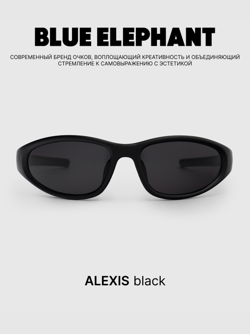 Очки BLUE ELEPHANT ALEXIS Black модель CP114470 Фото