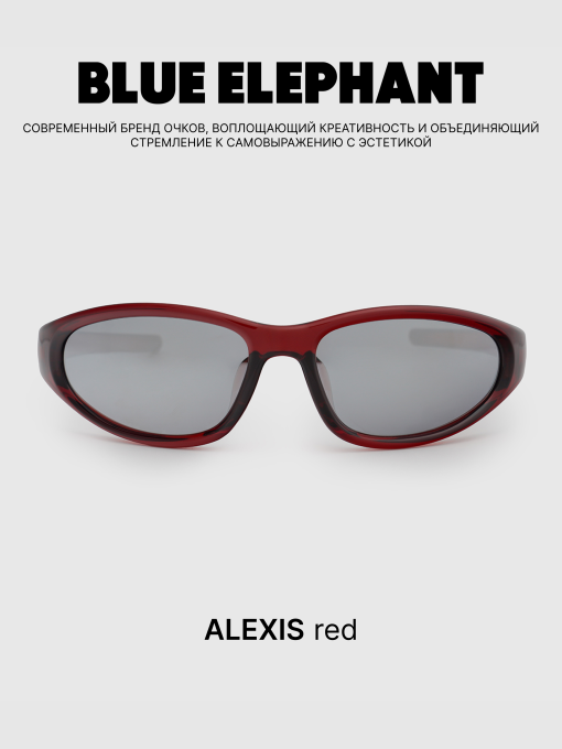 Очки BLUE ELEPHANT ALEXIS Red модель CP114389 Фото