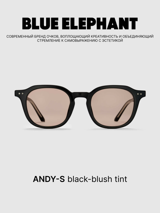Көзілдірік BLUE ELEPHANT ANDY-S Black-Blush Tint үлгі CP114393 Фото