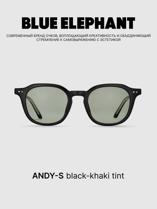 Көзілдірік BLUE ELEPHANT ANDY-S Black-Khaki Tint үлгі CP114395 Фото