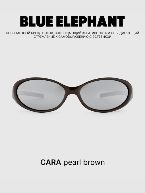 Очки BLUE ELEPHANT CARA Pearl Brown модель CP114476 Фото