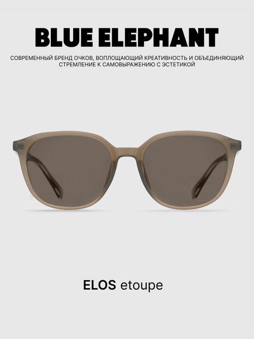 Очки BLUE ELEPHANT ELOS Etoupe модель CP114417 Фото