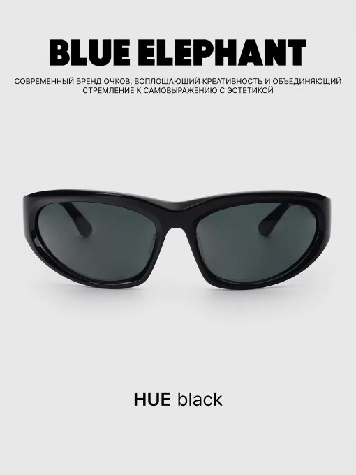 Очки BLUE ELEPHANT HUE Black модель CP114533 Фото