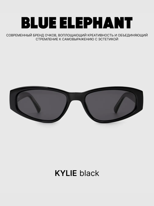 Очки BLUE ELEPHANT KYLIE Black модель CP114510 Фото