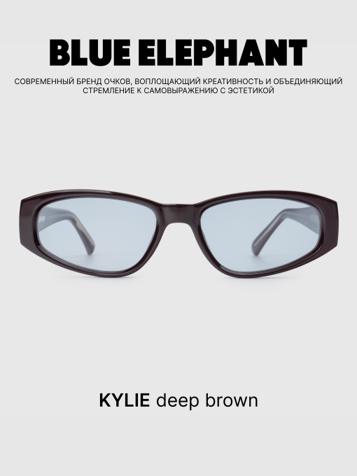 Очки BLUE ELEPHANT KYLIE Deep Brown модель CP114430 Фото