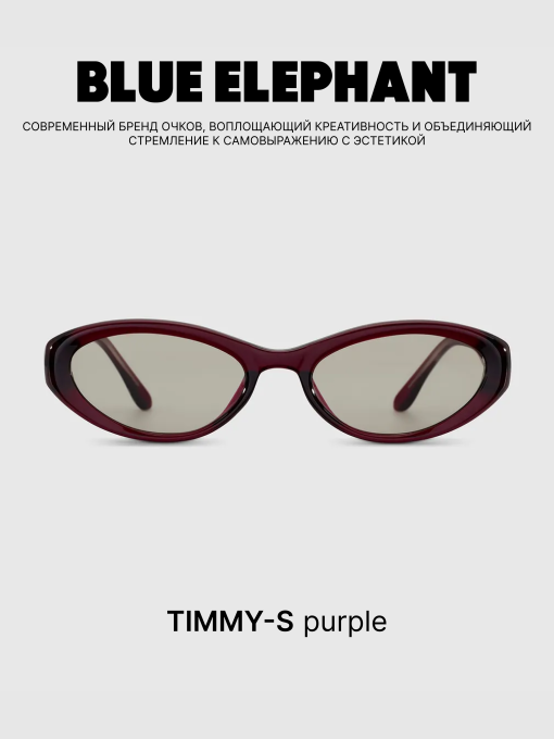 Очки BLUE ELEPHANT TIMMY-S Purple модель CP114516 Фото