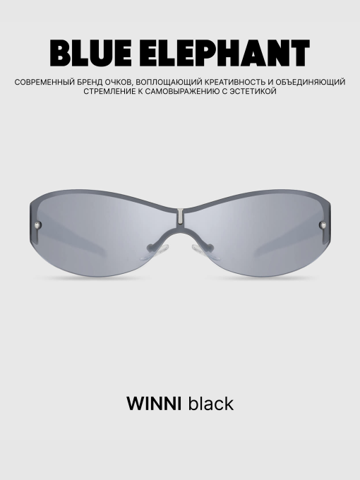 Очки BLUE ELEPHANT WINNI Black модель CP114450 Фото