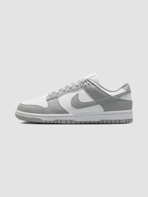 Кросівки NIKE Dunk Low Next Nature модель DD1873-113 Фото