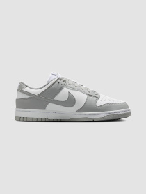 Кросівки NIKE Dunk Low Next Nature модель DD1873-113 Фото