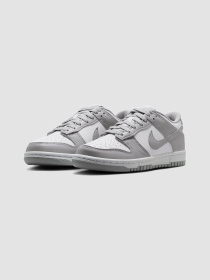 Кросівки повсякденні NIKE Dunk Low Gs модель FB9109-123 Фото