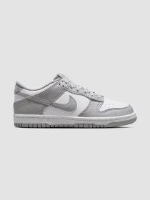 Кроссовки повседневные NIKE Dunk Low Gs модель FB9109-123 Фото