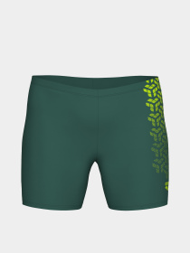 Плавки Arena модель 006701-608 Фото